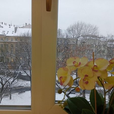 Apartment On Historical Center Of Lviv Exteriör bild