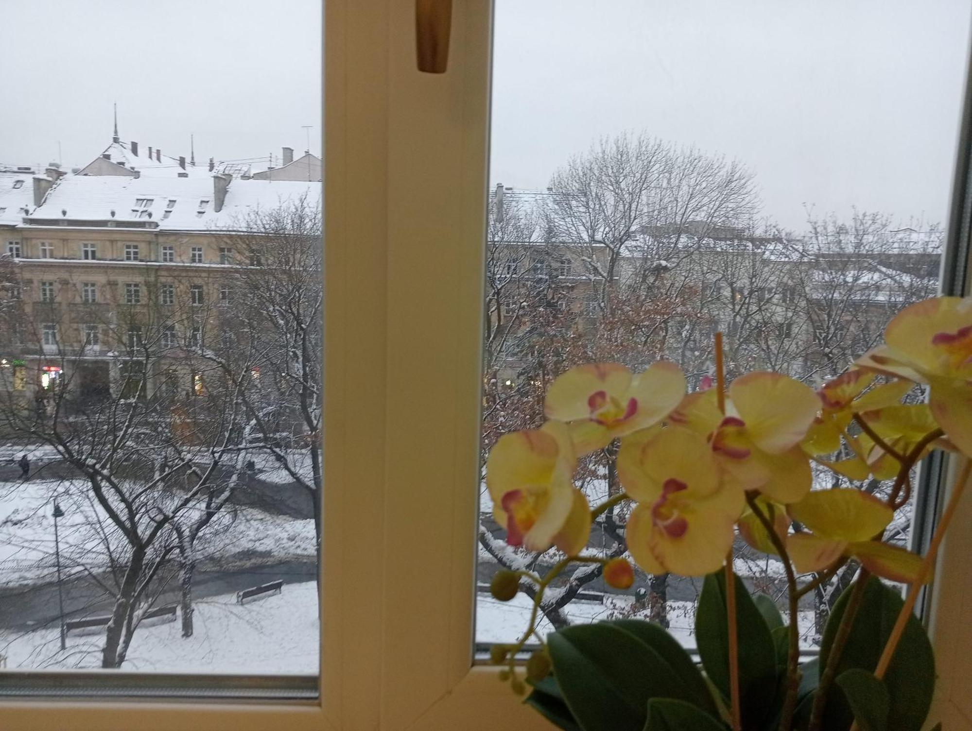 Apartment On Historical Center Of Lviv Exteriör bild